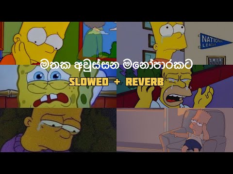 මනෝපාරකට සින්දු (slowed + reverb) | manoparakata sinhala songs collection | best new songs