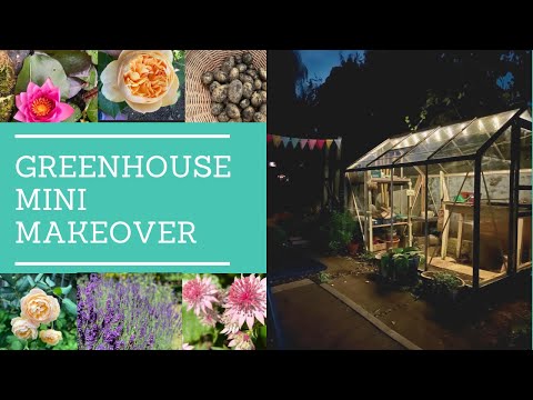 Greenhouse Mini Makeover: Declutter, Clean And Reorganise With Me