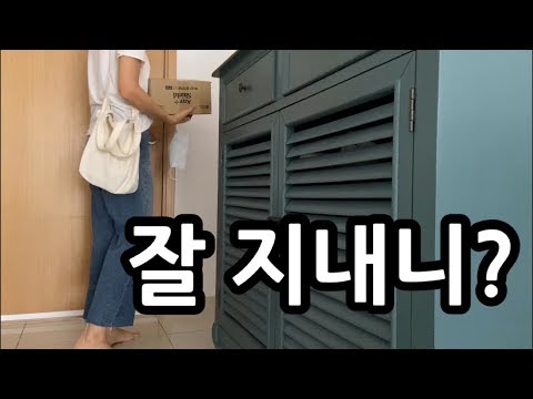 싱가포르 이민일상브이로그/손사용말고 다른방법/ 마스크는 돌고돈다/이또한지나가리라