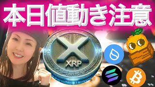 XRPどっちに動く？トランプ大統領就任初日上がるか