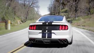 Shelby GT350 Sights & Sounds - Beauty, Exhaust, Fly-by - Everyday Driver