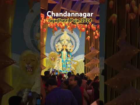 Chandannagar Jagadhatri Puja 2024 #chandannagarjagadhatripuja #chandannagar #jagadhatriapuja