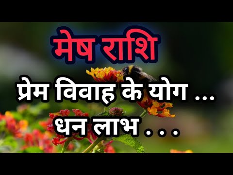 मेष राशि प्रेम विवाह के योग , धन लाभ . . . AriesPossibility of love marriage. Money gain...