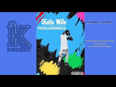 Shatta Wale - Foolishness (Audio Slide) #Shattamusic