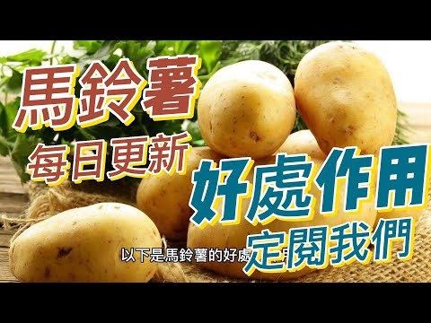 EP172 馬鈴薯（Potato）的好處與作用 抗氧化作用 促進肌肉修復和生長 健康  養生 天然