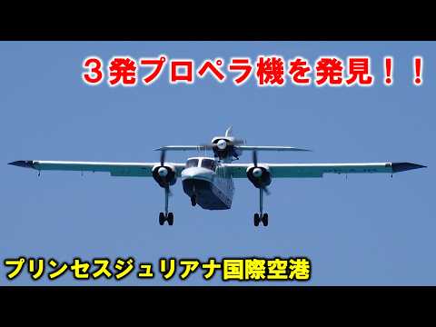 【発着機を解説】セントマーチン/プリンセスジュリアナ国際空港