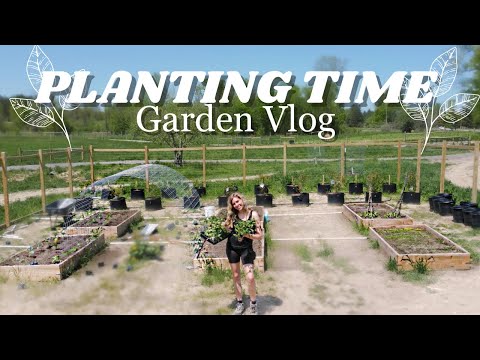 PLANTING TIME! Garden Vlog! My 1,400 Sq ft Garden