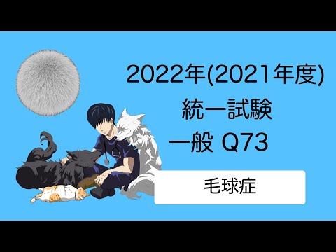 2022一般Q73『毛球症』 愛玩動物看護師国家試験対策