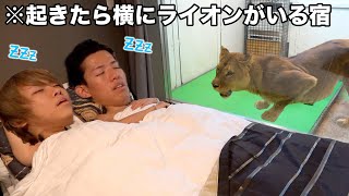 【おふざけ禁止】日本一危険な動物園が本当に危なかった。