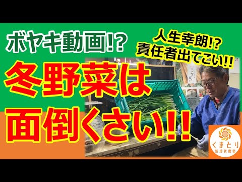 【ボヤキ動画】冬野菜の文句を人生幸朗風にぼやきます！