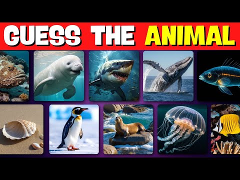 Guess Sea Animals in 5 Seconds Part II 🦑🦈🐋 | Random Quizzes