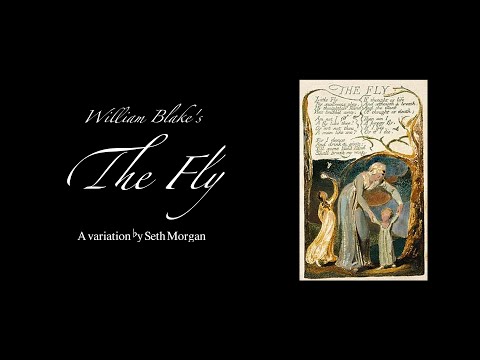 The Fly by William Blake