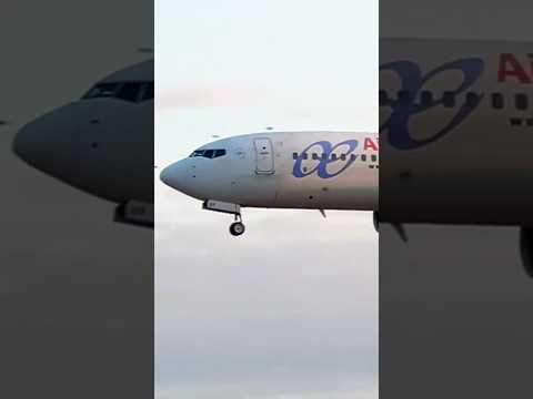 Air Europa landing at Barcelona #youtubeshorts #remix #shorts #short #planespotting #avgeek #bcn