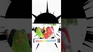 #munni #Choudhry #youtubeshorts #viral #reels #shortvideo #marwadi #rajasthani #newlovesong2023