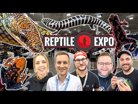 RAREST + COOLEST Reptiles I saw at the Toronto Reptile Expo October 2023! I BOUGHT A BLUE FROG!