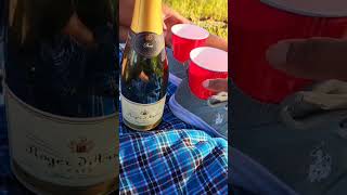 Picnic Wine Hack. Easy wine trick. Can you spot the hack?? Comment when you see it  ⬇️