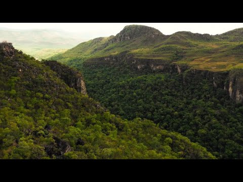 AZ Forest: committed to support biodiversity and human health