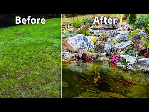 I Turned my Grass Yard into a Water Garden Oasis