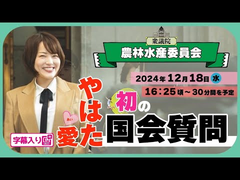 やはた愛の国会質問！ 2024.12.18 衆議院 農林水産委員会 字幕入りフル