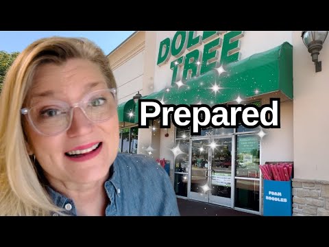 Emergency Organization! Dollar Tree MUST HAVES For Disaster Prep