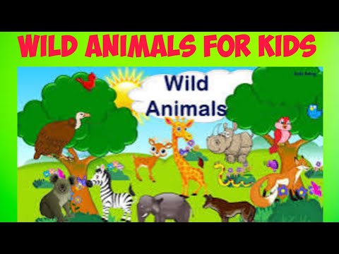 Wild Animals | Learn wild animals names in English | Kids vocabulary | English Educational Video