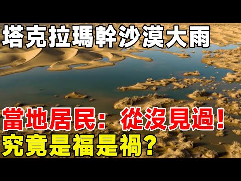 塔克拉瑪幹沙漠大雨，當地居民：從沒見過！ 究竟是福是禍？#科普 #科普頻道