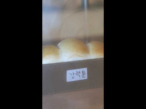 [30초 레시피🍞] 식빵 만들기