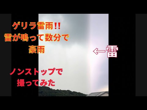 【異常気象激写】音聞いて‼️雷が鳴り始めてから数分で豪雨‼️ノンストップで‼️#ゲリラ豪雨#雷#天気