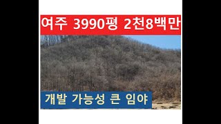 여주 3990평 2천8백만 (개발 가능성 큰 임야)