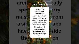 #facts #fact #factoftheday #christmas #shorts #viralshort #viralvideo #viralshorts #love