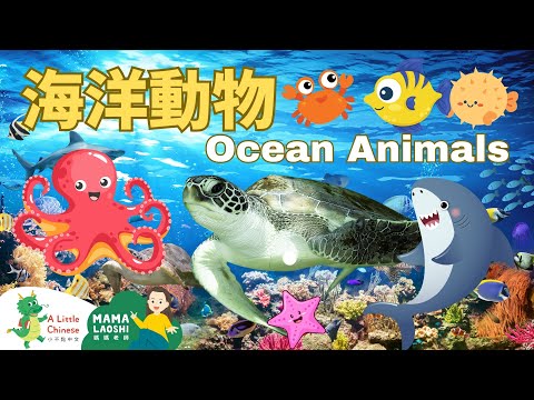 Ocean Animals in Chinese 海洋動物 | Animal Vocabulary | Learn Chinese for Kids, Toddlers & Preschoolers