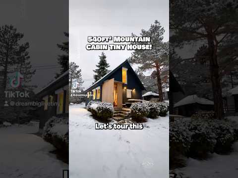 Would you live in this mountain #cabin ? 🏡 #housetour #hometour #tinyhouse #tinyhome