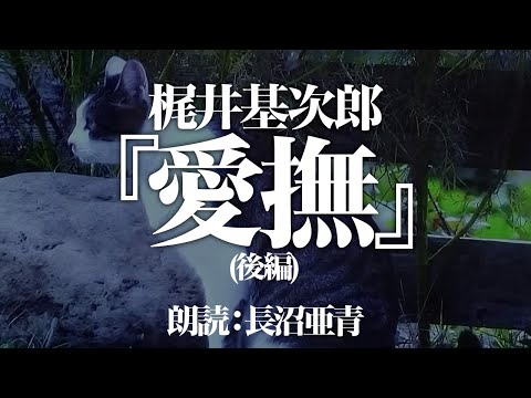 梶井基次郎『愛撫』後編 朗読:長沼亜青