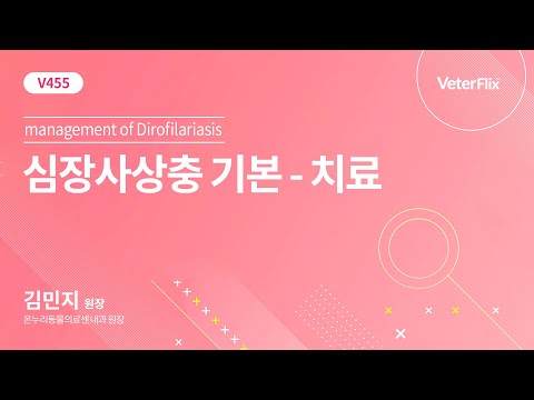 [베터플릭스][심장사상충 기본] 치료 (management of Dirofilariasis)