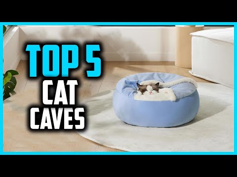 ✅Top 5 Best Cat Caves in 2024