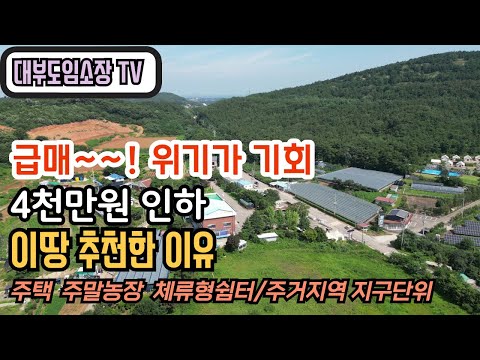 (땅 급매 4천만원 인하) 위기가 기회 이땅 추천한 이유  주택 주말농장 농막 매매 체류형쉼터  주거지역 지구단위계획구역 대부도 토지 급매  / 대부도부동산  NO 1059