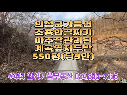 #444 의성가음부동산 산중턱 탁트인 남향 자두밭 550평 4950만(당9만) 물시설0 언덕뷰 청정지역 개울물철철 전기가능 건축가능 계획관리지역 농막설치 쉼터용 #의성땅#주말농장용