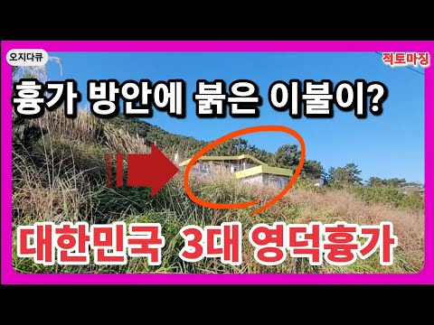 무속인도 두손두발 들고 나간 대한민국 3대흉가 #영덕흉가