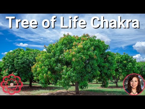 Energy for the Tree of Life  Chakra