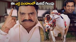 Nandamuri Harikrishna Superhit Telugu Movie Action Scene | #Nandamuri | #Telugumovie | kotha Cinema