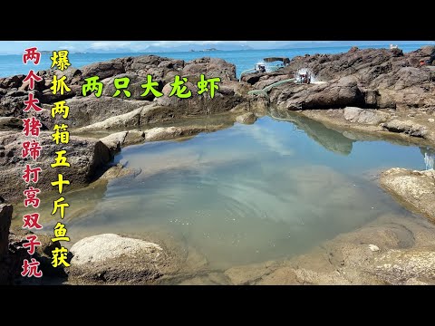 【阿向趕海】大豬腿打窩擒獲兩隻大龍，石斑魚黑鯊應有盡有魚獲抓兩箱