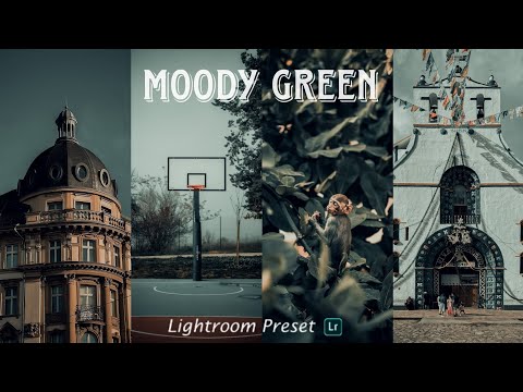 lightroom preset malayalam moody green free preset DNG file