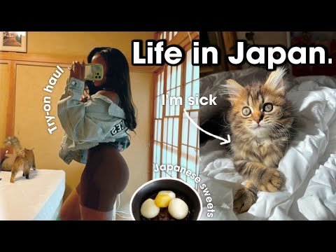 LIFE IN JAPAN OCTOBER | Bra try-on haul, Money shrine, Cafes, Traditional Japanese sweets