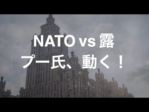 だったら我々も、NATOと同じことを実行しようじゃないか