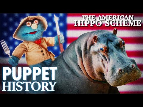 How Hippo Meat Almost Saved America • Puppet History