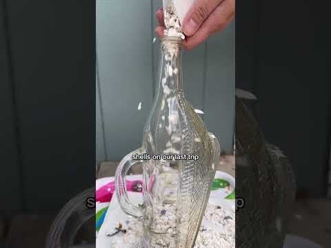 #vintage #upcycle #wineinabasket #thingstodowithshells #beachdecor #diy #thrifting #diycrafts