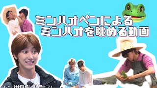 ミンハオペンのためのミンハオを眺める動画【セブチ/SEVENTEEN】