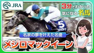 【3分でわかる】メジロマックイーン・名家の夢を叶えた名優 | JRA公式