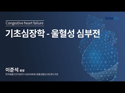 [베터플릭스][기초심장학] 울혈성 심부전(Congestive heart failure)