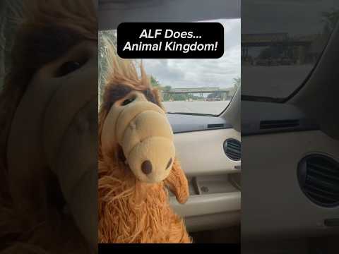 ALF Does Animal Kingdom! - The ALF Does… Series - Ep. 1 #alf #disneyworld #animalkingdom #fyp